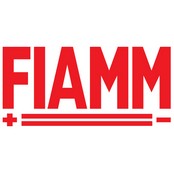 Z-(No Category) Fiamm Technologies