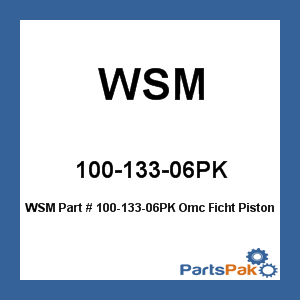 WSM 100-133-06PK; OMC Ficht Piston .75Mm Port