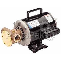 Jabsco 60500003; Utility Pump 115/230 Volt