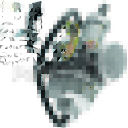 MOGO Parts 03-0021B; 4-Stroke Carburetor 200-250Cc; 2-WPS-609-0126