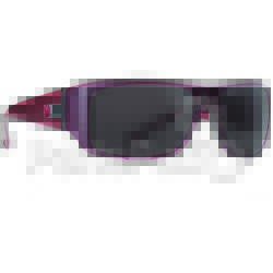 Dragon 259036814619; Vantage Sunglasses Matte Rosewood W / Smoke Polar Lens