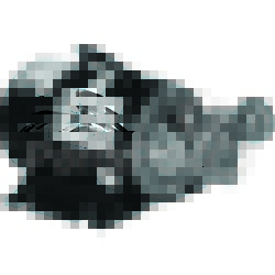 Flojet 12210-0003; Ac Motor Pump 3.4Gpm; DON-417407